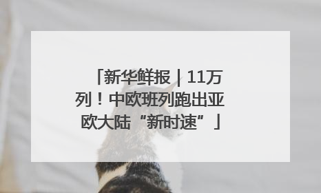 新华鲜报｜11万列！中欧班列跑出亚欧大陆“新时速”